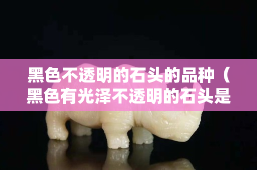 黑色不透明的石頭的品種（黑色有光澤不透明的石頭是什么石頭）