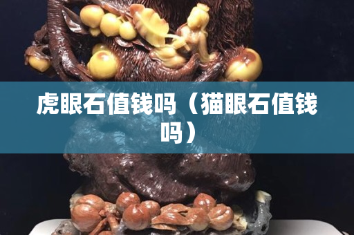 虎眼石值錢嗎（貓眼石值錢嗎）