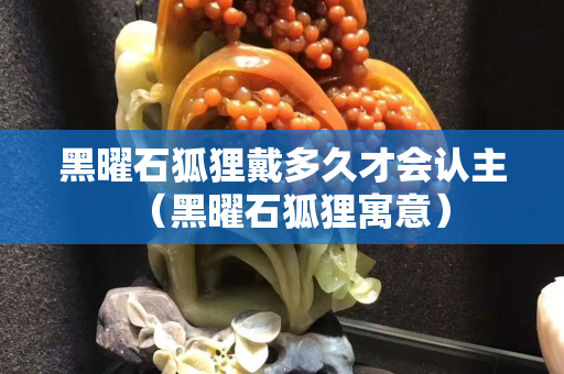 黑曜石狐貍戴多久才會認主（黑曜石狐貍寓意）