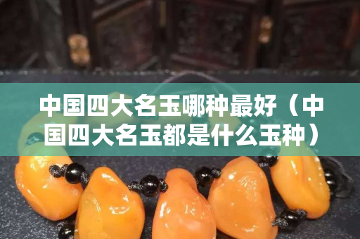 中國四大名玉哪種最好（中國四大名玉都是什么玉種）