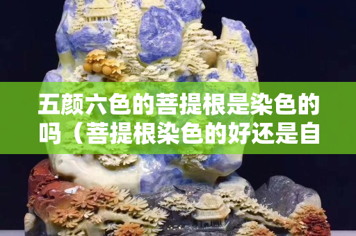 五顏六色的菩提根是染色的嗎（菩提根染色的好還是自然的好）
