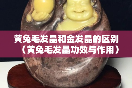 黃兔毛發(fā)晶和金發(fā)晶的區(qū)別（黃兔毛發(fā)晶功效與作用）