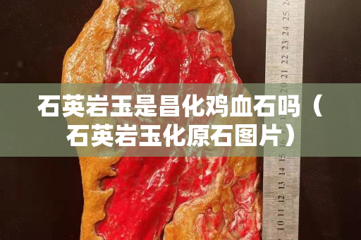 石英巖玉是昌化雞血石嗎（石英巖玉化原石圖片）