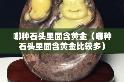 哪種石頭里面含黃金（哪種石頭里面含黃金比較多）