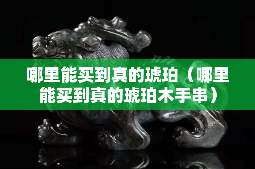 哪里能買到真的琥珀（哪里能買到真的琥珀木手串）