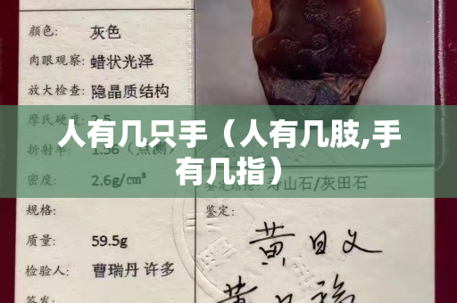 人有幾只手（人有幾肢,手有幾指）