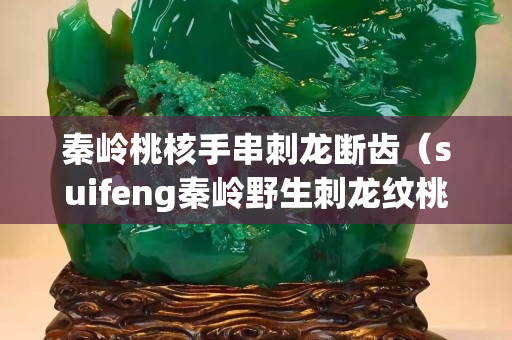 秦嶺桃核手串刺龍斷齒（suifeng秦嶺野生刺龍紋桃核霸王龍文玩桃胡手串）