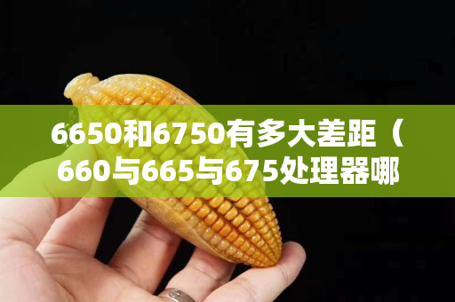 6650和6750有多大差距（660與665與675處理器哪個好）