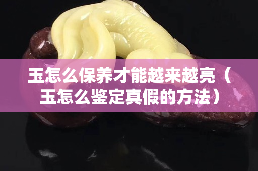 玉怎么保養才能越來越亮（玉怎么鑒定真假的方法）
