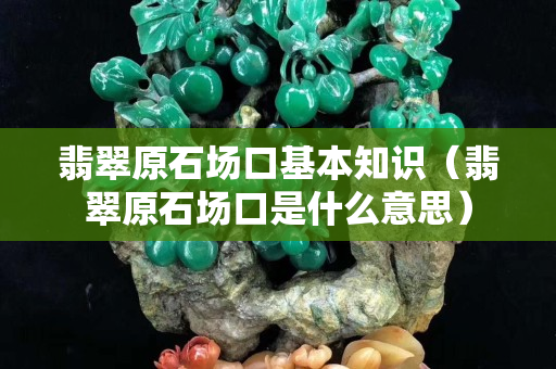 翡翠原石場口基本知識（翡翠原石場口是什么意思）