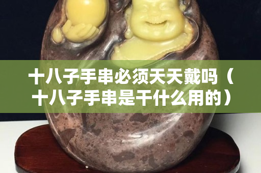 十八子手串必須天天戴嗎（十八子手串是干什么用的）
