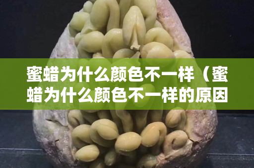 蜜蠟為什么顏色不一樣（蜜蠟為什么顏色不一樣的原因）