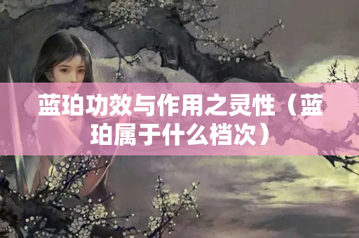 藍(lán)珀功效與作用之靈性（藍(lán)珀屬于什么檔次）