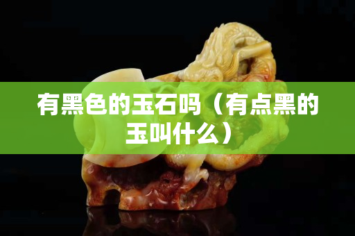 有黑色的玉石嗎（有點黑的玉叫什么）