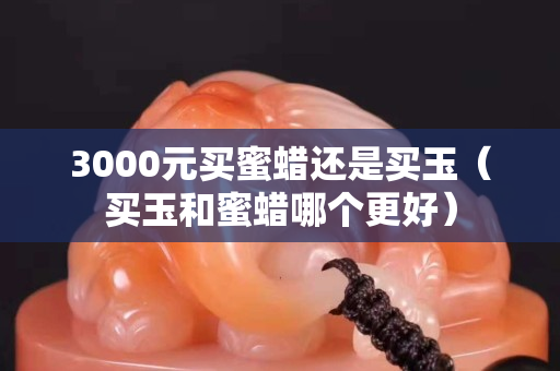 3000元買蜜蠟還是買玉（買玉和蜜蠟?zāi)膫€更好）