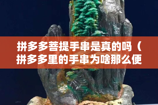 拼多多菩提手串是真的嗎（拼多多里的手串為啥那么便宜,是假的嗎）