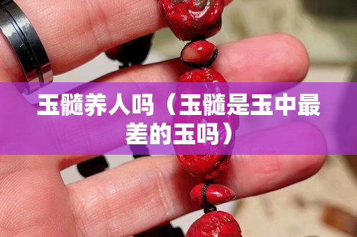 玉髓養人嗎（玉髓是玉中最差的玉嗎）