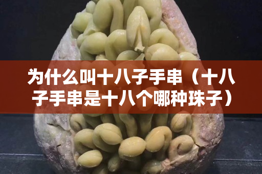 為什么叫十八子手串（十八子手串是十八個哪種珠子）