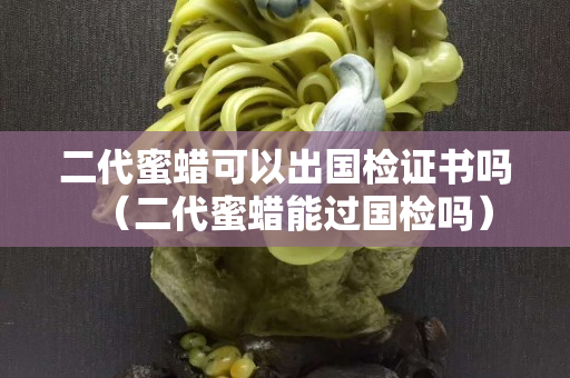 二代蜜蠟可以出國檢證書嗎（二代蜜蠟能過國檢嗎）