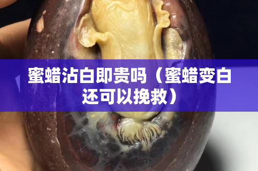 蜜蠟沾白即貴嗎（蜜蠟變白還可以挽救）