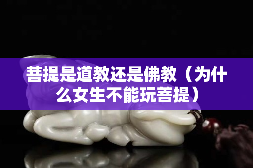 菩提是道教還是佛教（為什么女生不能玩菩提）