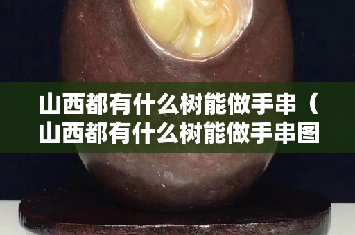 山西都有什么樹能做手串（山西都有什么樹能做手串圖片）