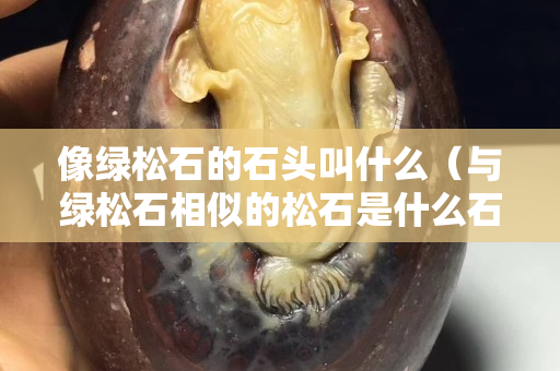 像綠松石的石頭叫什么（與綠松石相似的松石是什么石）