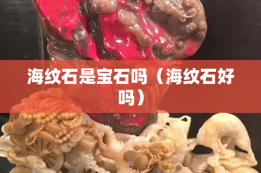 海紋石是寶石嗎（海紋石好嗎）