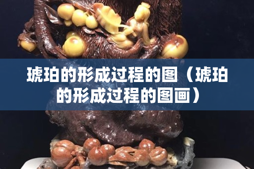 琥珀的形成過程的圖（琥珀的形成過程的圖畫）