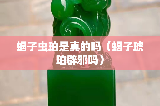 蝎子蟲珀是真的嗎（蝎子琥珀辟邪嗎）