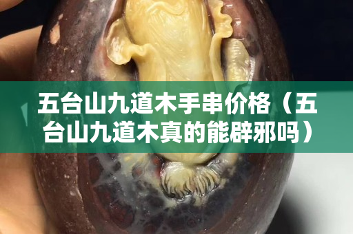 五臺山九道木手串價格（五臺山九道木真的能辟邪嗎）