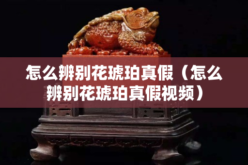 怎么辨別花琥珀真假（怎么辨別花琥珀真假視頻）