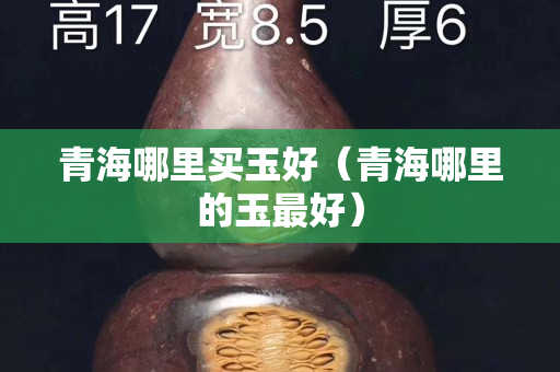青海哪里買玉好（青海哪里的玉最好）