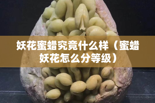 妖花蜜蠟究竟什么樣（蜜蠟妖花怎么分等級）