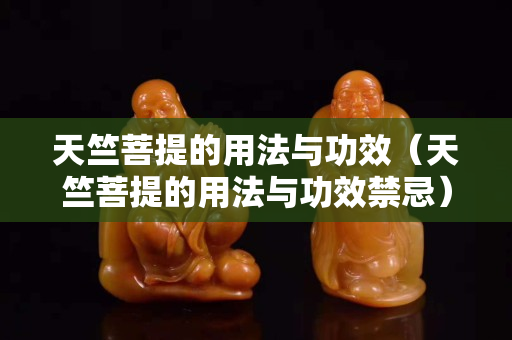 天竺菩提的用法與功效（天竺菩提的用法與功效禁忌）