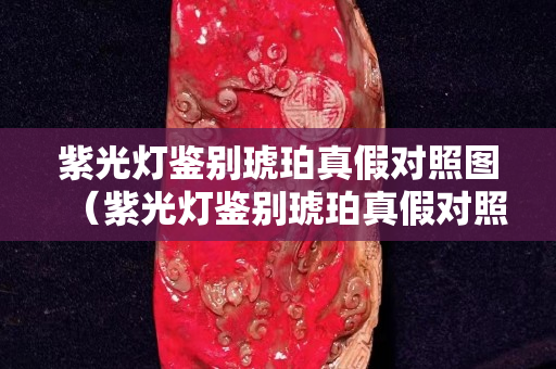 紫光燈鑒別琥珀真假對照圖（紫光燈鑒別琥珀真假對照圖片）
