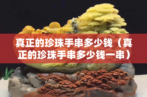真正的珍珠手串多少錢(qián)（真正的珍珠手串多少錢(qián)一串）