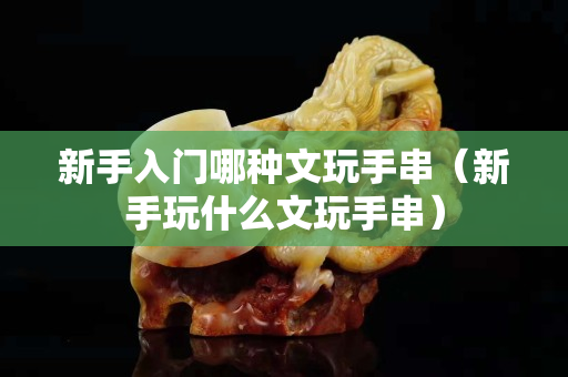 新手入門哪種文玩手串（新手玩什么文玩手串）