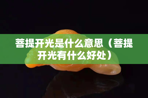 菩提開光是什么意思（菩提開光有什么好處）