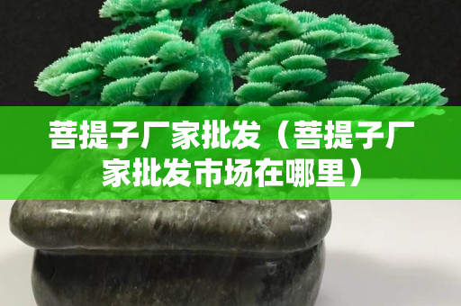 菩提子廠家批發（菩提子廠家批發市場在哪里）