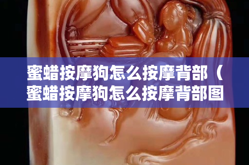 蜜蠟按摩狗怎么按摩背部（蜜蠟按摩狗怎么按摩背部圖片）