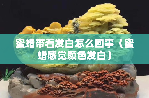 蜜蠟帶著發白怎么回事（蜜蠟感覺顏色發白）