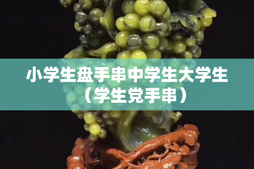 小學(xué)生盤手串中學(xué)生大學(xué)生（學(xué)生黨手串）