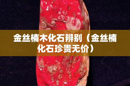 金絲楠木化石辨別（金絲楠化石珍貴無價）