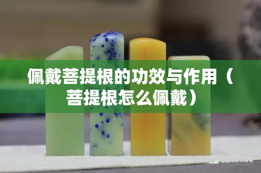 佩戴菩提根的功效與作用（菩提根怎么佩戴）