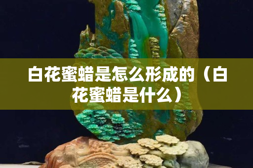 白花蜜蠟是怎么形成的（白花蜜蠟是什么）