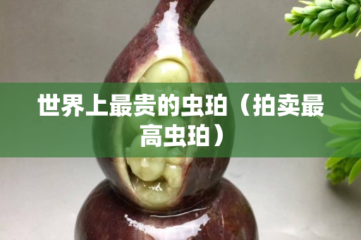 世界上最貴的蟲(chóng)珀（拍賣(mài)最高蟲(chóng)珀）
