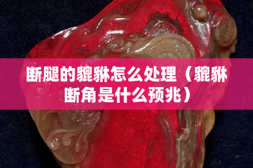 斷腿的貔貅怎么處理（貔貅斷角是什么預(yù)兆）