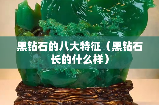 黑鉆石的八大特征（黑鉆石長的什么樣）