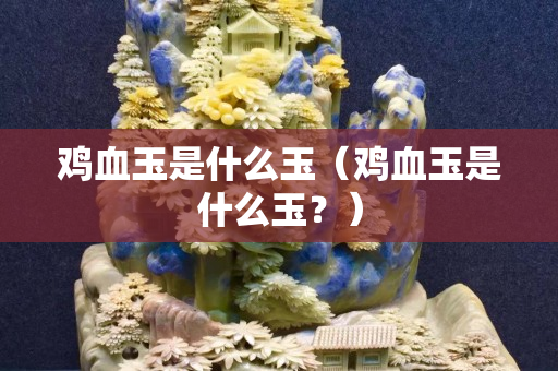 雞血玉是什么玉（雞血玉是什么玉？）